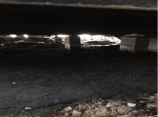 sewage backup service after