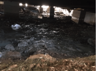 sewage backup service before